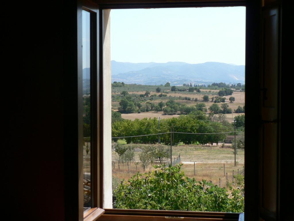 La Palombaia Guest House Сполето Екстериор снимка